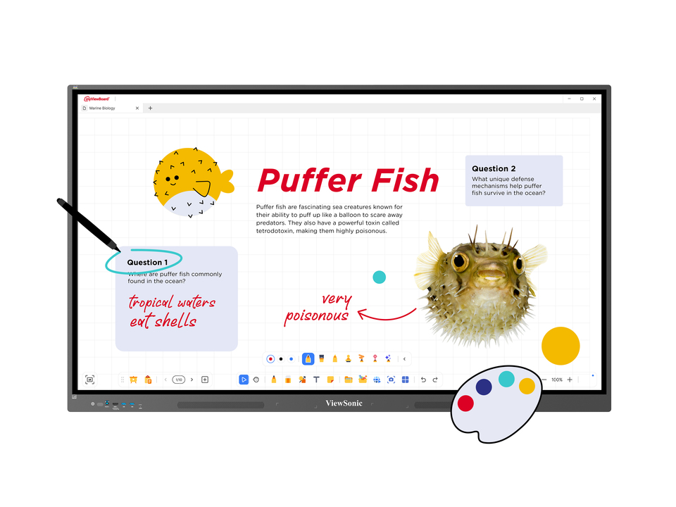 Écran interactif EdTech ViewBoard IFP34 Android 14