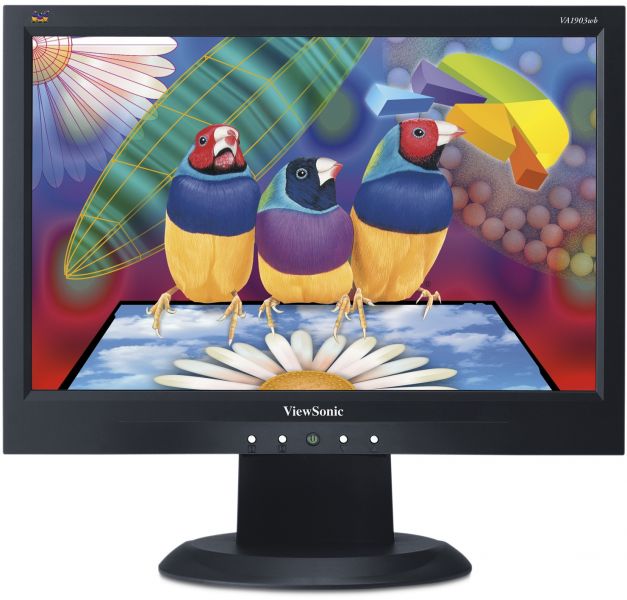 ViewSonic Pantalla LCD VA1903wb