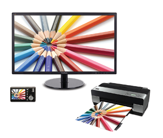 VX2209-LED Reviving-Color-With-SRGB-Color-Correction-Technology