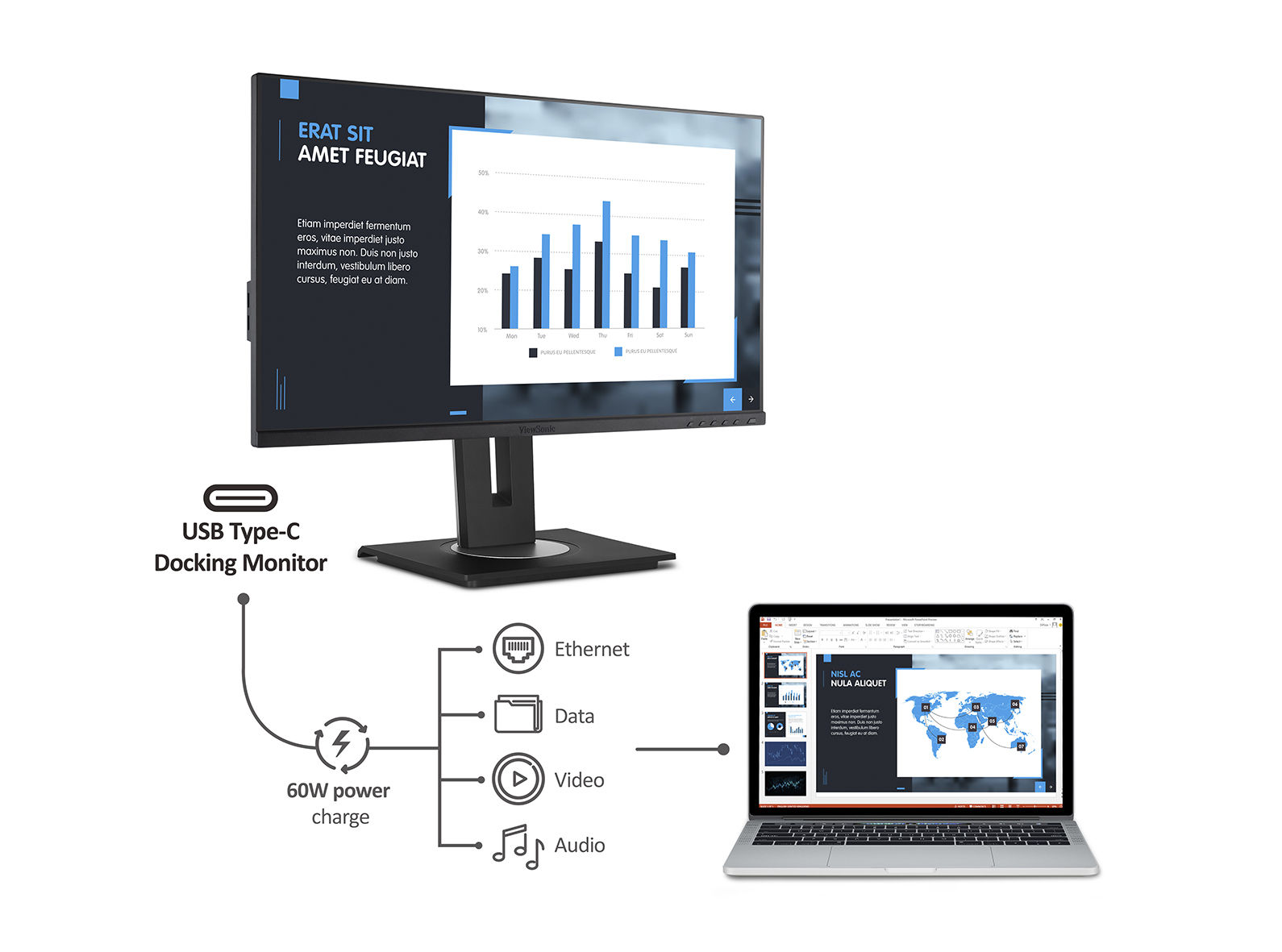 Moniteur 24