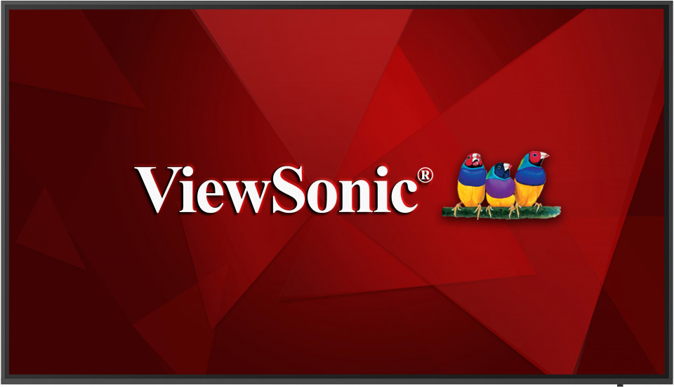 Écran de présentation 4k 65" - CDE6520