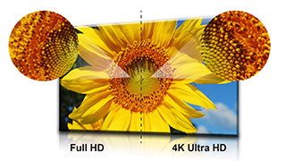 VX2880Ml 4K-Ultra-HD feature