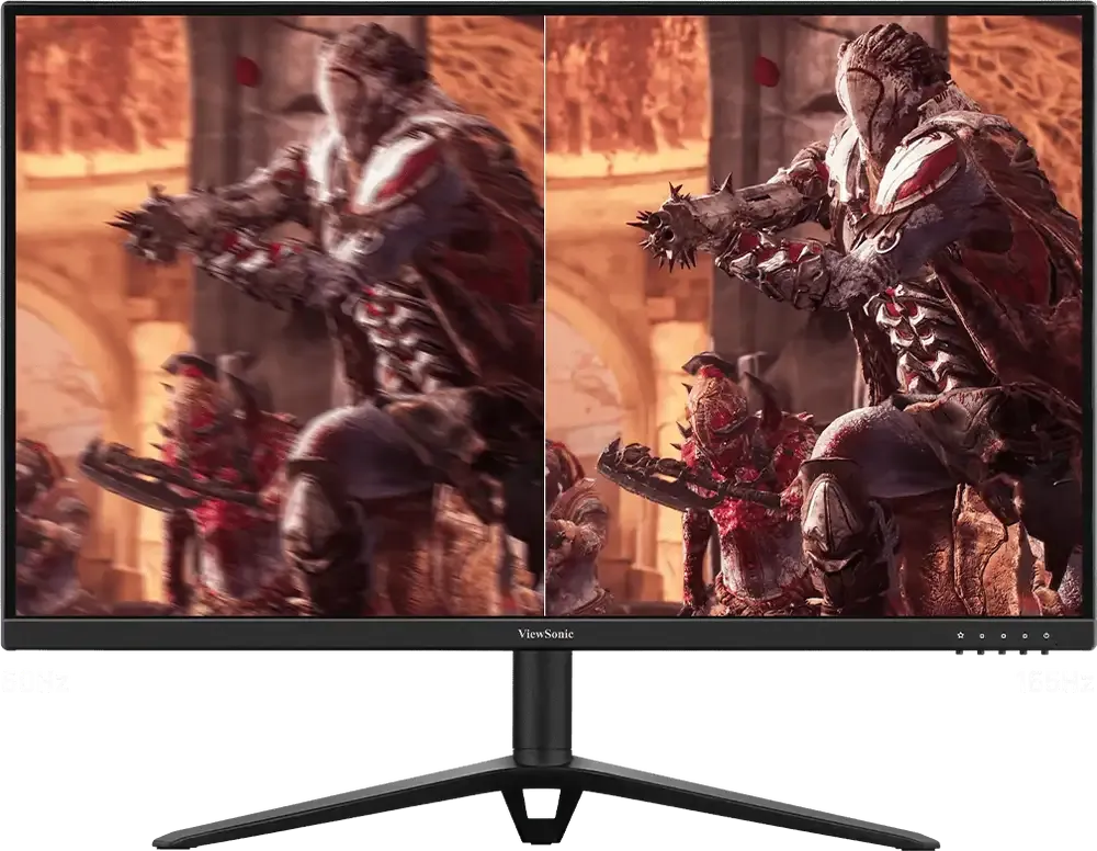 Maxsize 165hz
