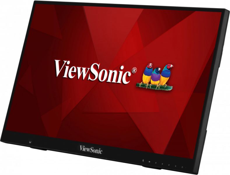 ViewSonic LCD Display TD2456