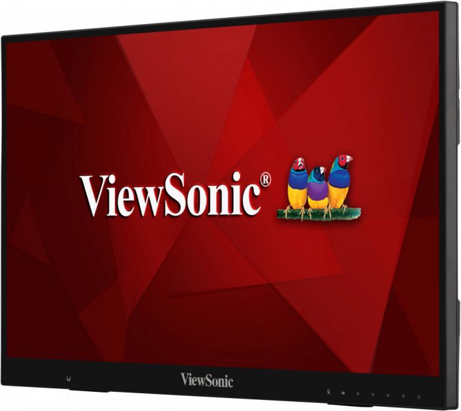 ViewSonic LCD Display TD2456