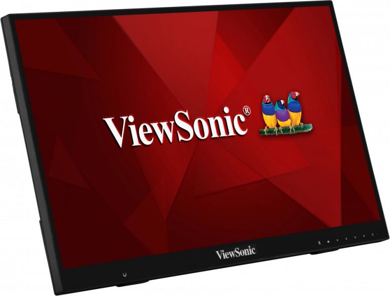 ViewSonic LCD Display TD2456