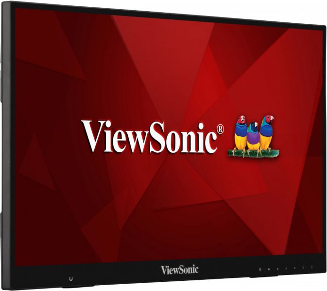 ViewSonic LCD Display TD2456