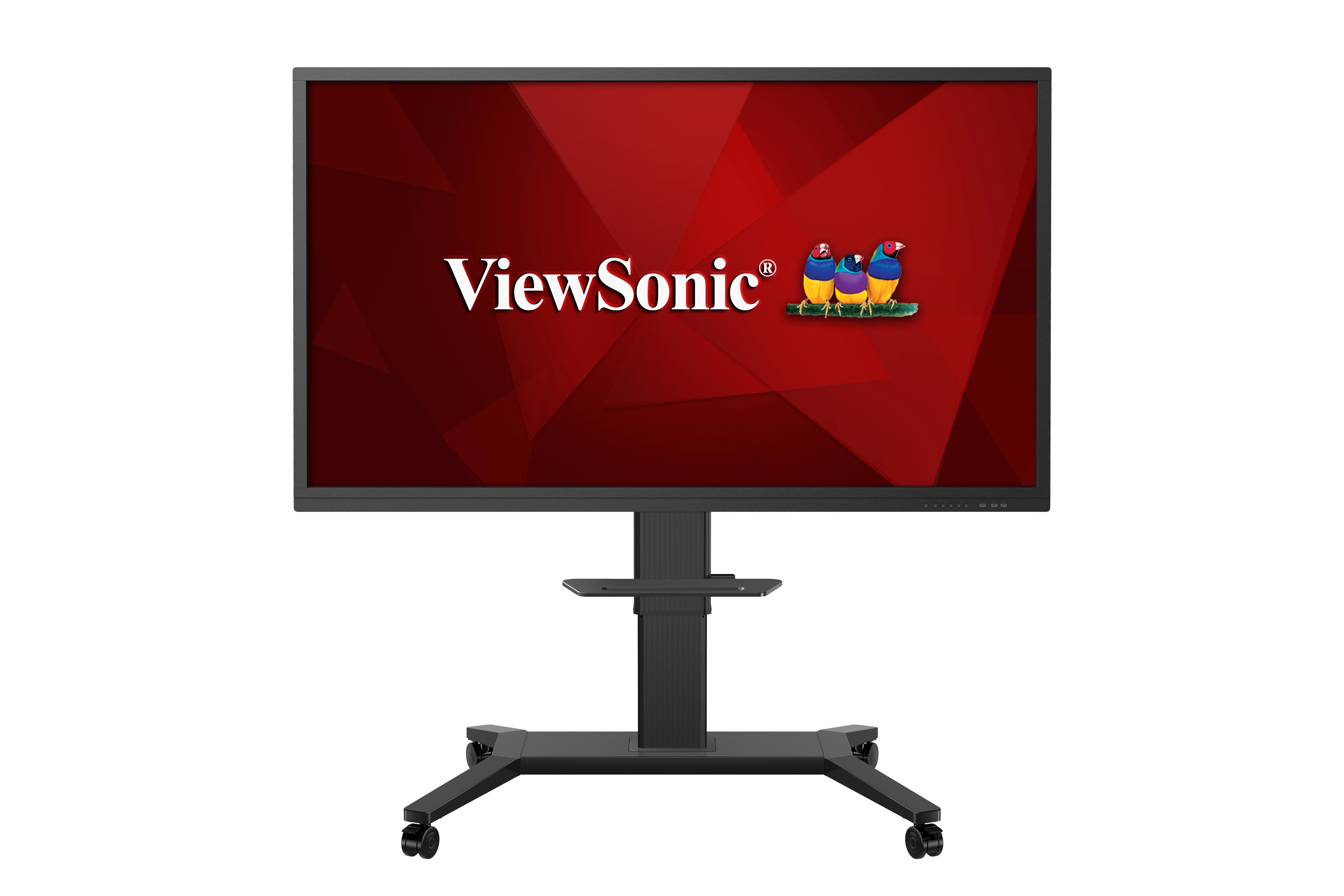 VB-STND-002