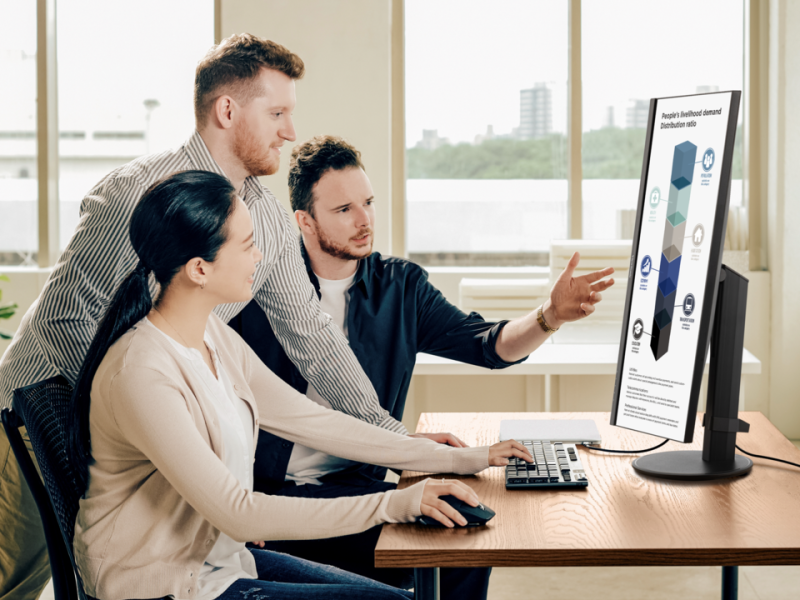ViewSonic LCD Display VG2409U-2
