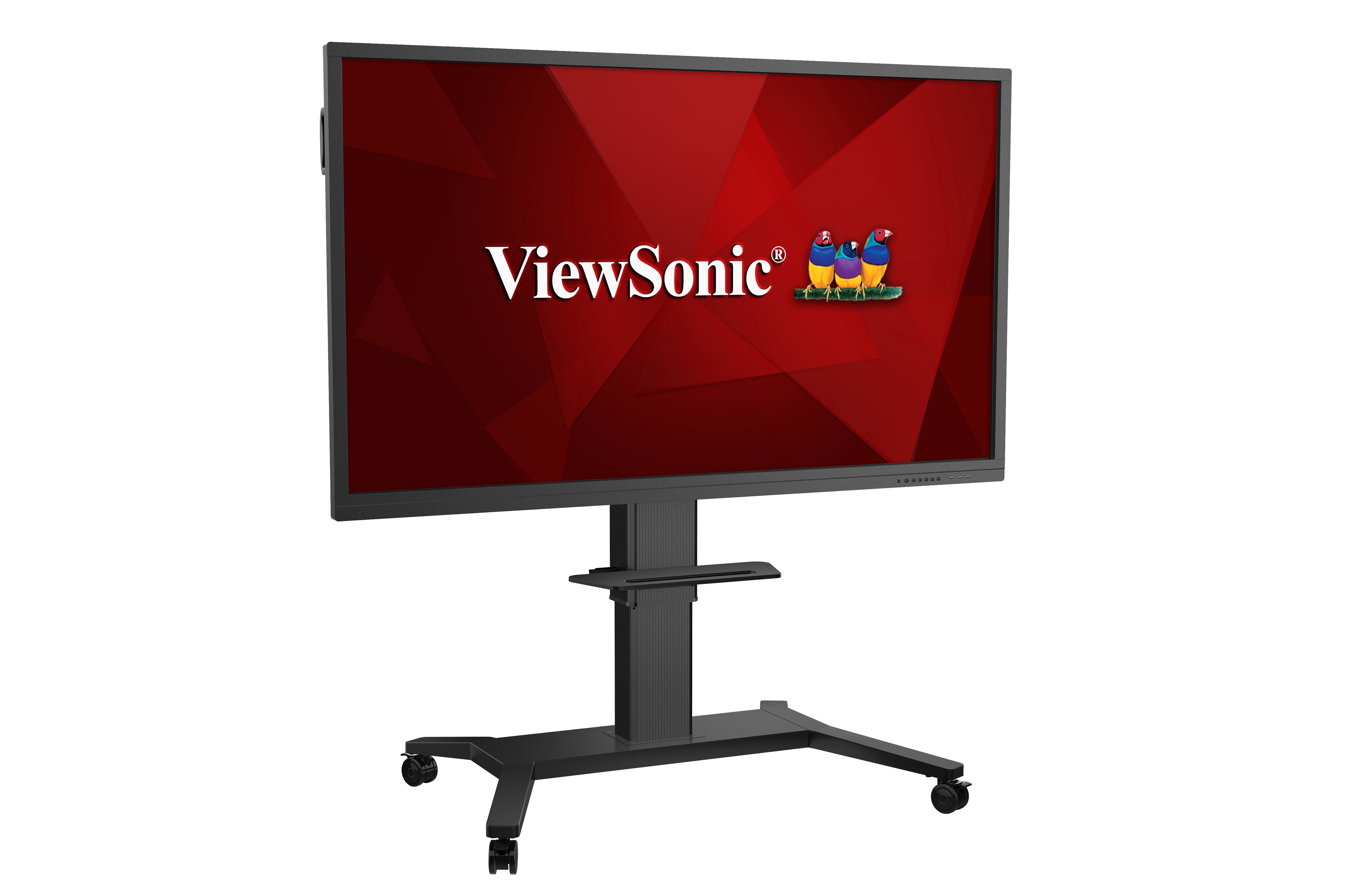 VB-STND-003